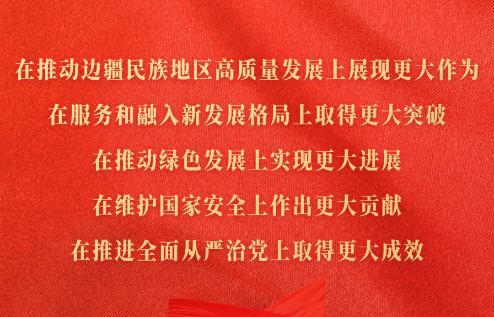 在推動邊疆民族地區高質量發展上展現更大作為，在服務和融入新發展格局上取得更大突破，在推動綠色發展上實現更大進展，在維護國家安全上作出更大貢獻，在推進全面從嚴治黨上取得更大成效